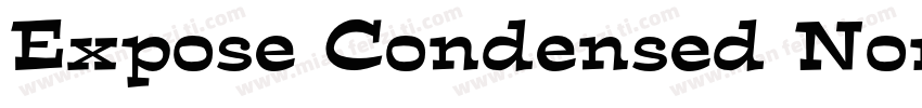 Expose Condensed Normal字体转换